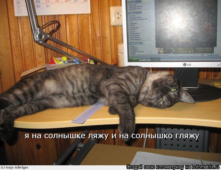 я на солнышке ляжу и на солнышко гляжу... Котоматрица: я на солнышке ляжу и на солнышко гляжу