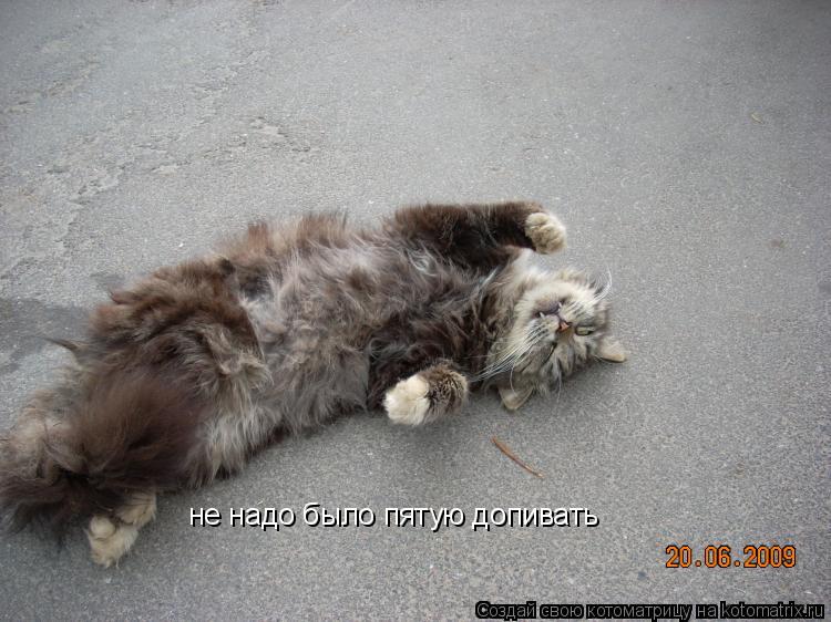 не надо было пятую допивать... Котоматрица: не надо было пятую допивать