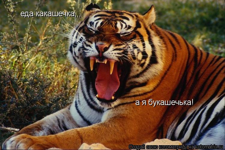 еда какашечка,,, а я букашечька!... Котоматрица: еда какашечка,,, а я букашечька!