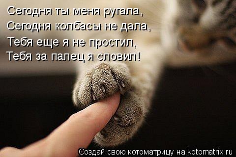 Сегодня ты меня ругала, Сегодня колбасы не дала, Тебя еще я не простил, Тебя за палец я словил!... Котоматрица: Сегодня ты меня ругала, Сегодня колбасы не дала, Тебя еще я не простил, Тебя за палец я словил!