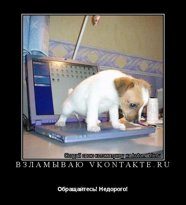 Котоматрица: ВЗЛАМЫВАЮ VKONTAKTE.RU Обращайтесь! Недорого!