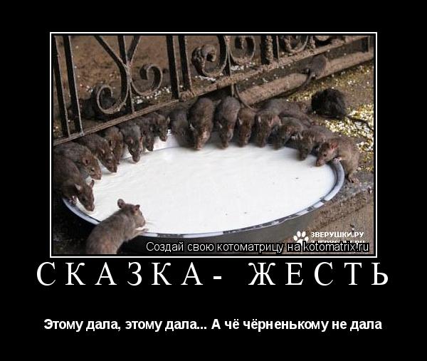 Котоматрица: Сказка- жесть Этому дала, этому дала... А чё чёрненькому не дала