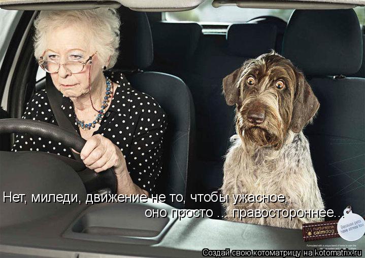 оно просто ... правостороннее... Нет, миледи, движение не то, чтобы ужасное,... Котоматрица: оно просто ... правостороннее... Нет, миледи, движение не то, чтобы ужасное,