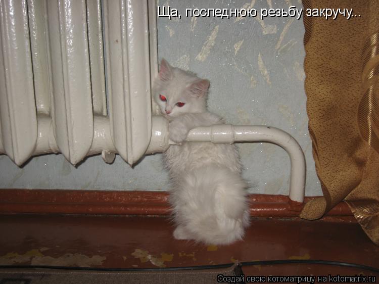 Ща, последнюю резьбу закручу...... Котоматрица: Ща, последнюю резьбу закручу...