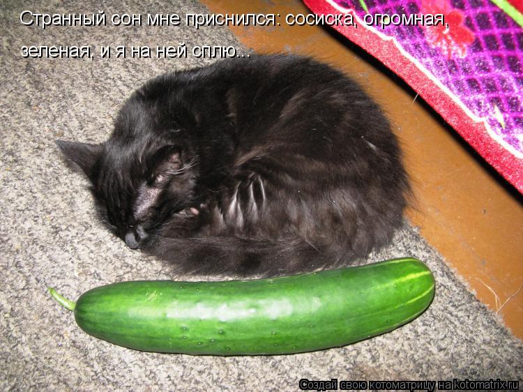 Странный сон мне приснился: сосиска, огромная, зеленая, и я на ней сплю...... Котоматрица: Странный сон мне приснился: сосиска, огромная, зеленая, и я на ней сплю...
