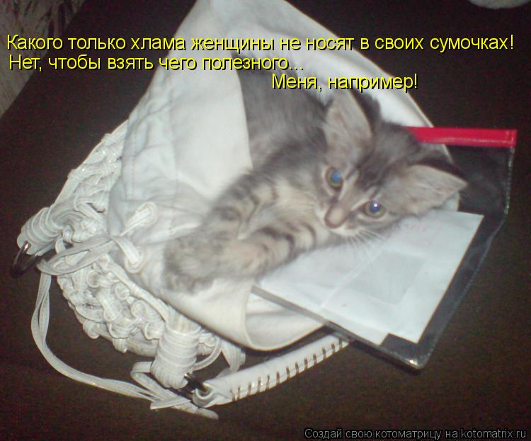 Какого только хлама женщины не носят в своих сумочках! Нет, чтобы взять чего полезного... Меня, напри... Котоматрица: Какого только хлама женщины не носят в своих сумочках! Нет, чтобы взять чего полезного... Меня, например!