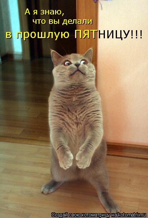 А я знаю, что вы делали в прошлую ПЯТ НИЦУ!!!... Котоматрица: А я знаю, что вы делали в прошлую ПЯТ НИЦУ!!!