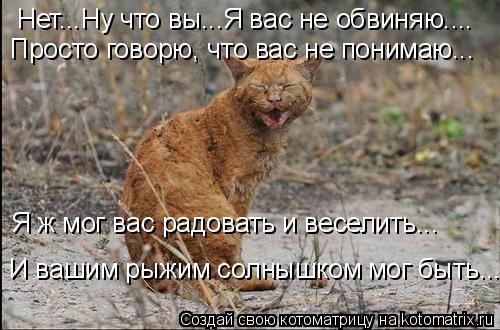 И вашим рыжим солнышком мог быть... Нет...Ну что вы...Я вас не обвиняю.... Просто говорю, что вас не ... Котоматрица: И вашим рыжим солнышком мог быть... Нет...Ну что вы...Я вас не обвиняю.... Просто говорю, что вас не понимаю... Я ж мог вас радовать и веселить...