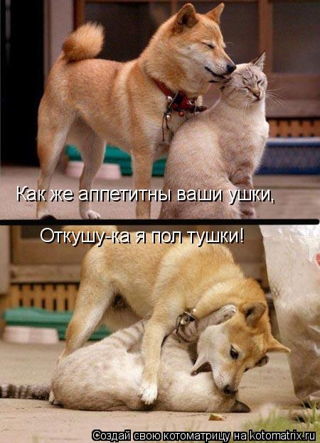 Откушу-ка я пол тушки! Как же аппетитны ваши ушки,... Котоматрица: Откушу-ка я пол тушки! Как же аппетитны ваши ушки,