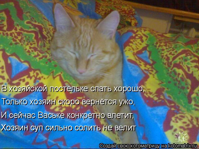 В хозяйской постельке спать хорошо, Только хозяин скоро вернётся ужо, И сейчас Ваське конкретно влети... Котоматрица: В хозяйской постельке спать хорошо, Только хозяин скоро вернётся ужо, И сейчас Ваське конкретно влетит, Хозяин суп сильно солить не велит Х