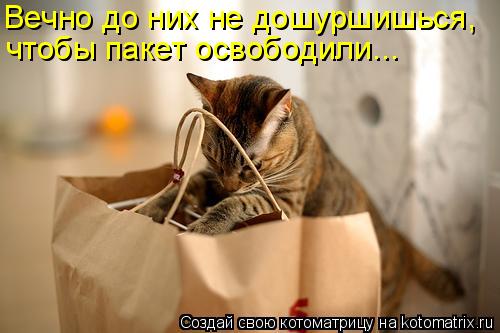 Вечно до них не дошуршишься, чтобы пакет освободили...... Котоматрица: Вечно до них не дошуршишься, чтобы пакет освободили...