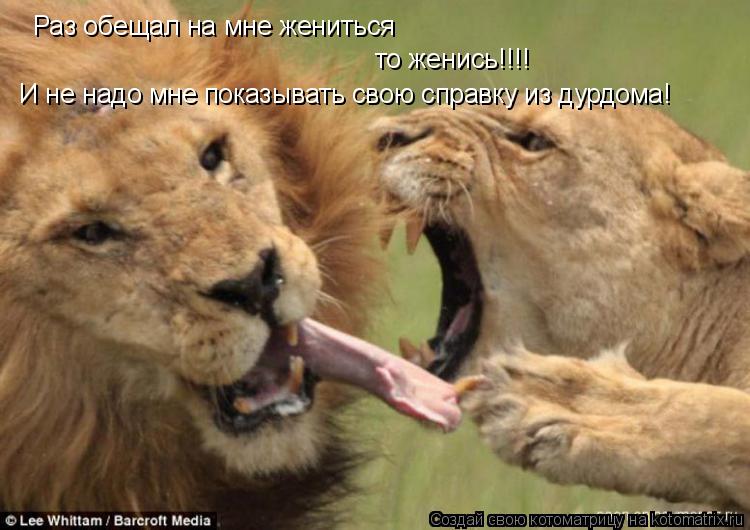 Раз обещал на мне жениться то женись!!!! И не надо мне показывать свою справку из дурдома!... Котоматрица: Раз обещал на мне жениться то женись!!!! И не надо мне показывать свою справку из дурдома!