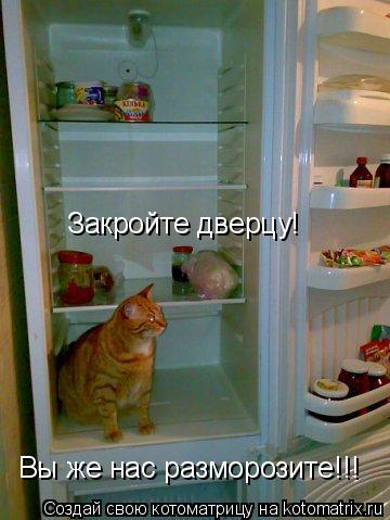 Вы же нас разморозите!!! Закройте дверцу!... Котоматрица: Вы же нас разморозите!!! Закройте дверцу!