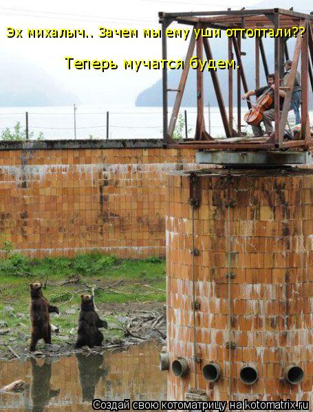 Эх михалыч.. Зачем мы ему уши оттоптали?? Теперь мучатся будем.... Котоматрица: Эх михалыч.. Зачем мы ему уши оттоптали?? Теперь мучатся будем.