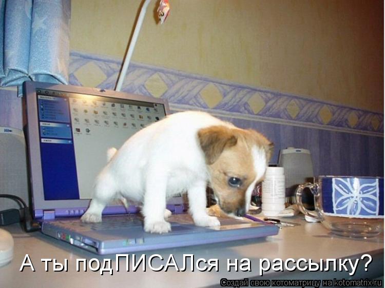 А ты подПИСАЛся на рассылку?... Котоматрица: А ты подПИСАЛся на рассылку?