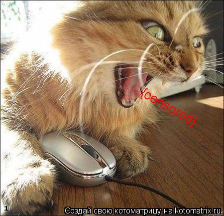 {censored}... Котоматрица: {censored}