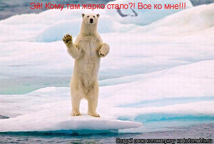 Эй! Кому там жарко стало?! Все ко мне!!!... Котоматрица: Эй! Кому там жарко стало?! Все ко мне!!!