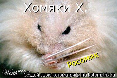 Хомяки Х. Росомяк... Котоматрица: Хомяки Х. Росомяк
