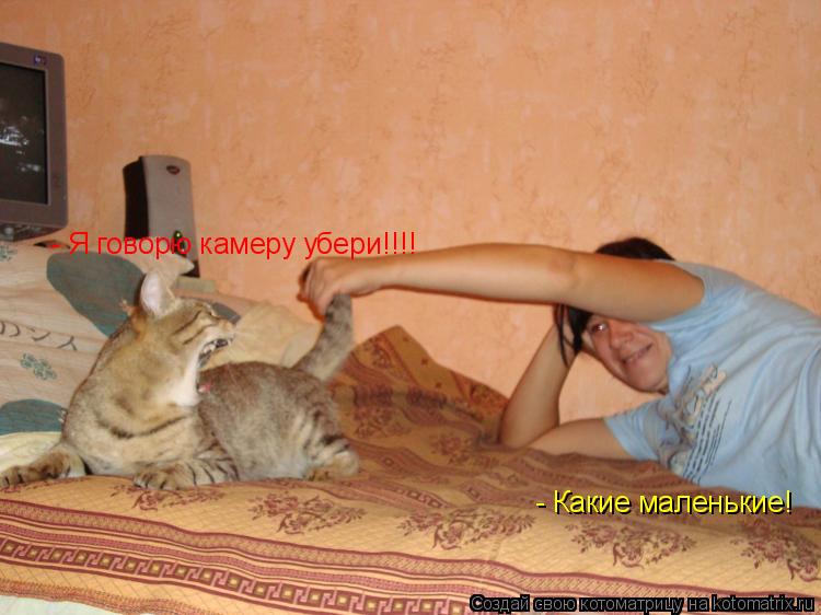 - Какие маленькие! - Я говорю камеру убери!!!!... Котоматрица: - Какие маленькие! - Я говорю камеру убери!!!!