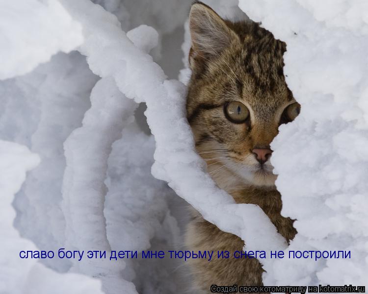 славо богу эти дети мне тюрьму из снега не построили... Котоматрица: славо богу эти дети мне тюрьму из снега не построили