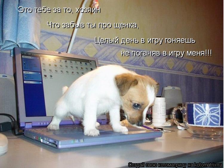 Это тебе за то, хозяин Что забыв ты про щенка, не поганяв в игру меня!!! Целый день в игру гоняешь... Котоматрица: Это тебе за то, хозяин Что забыв ты про щенка, не поганяв в игру меня!!! Целый день в игру гоняешь