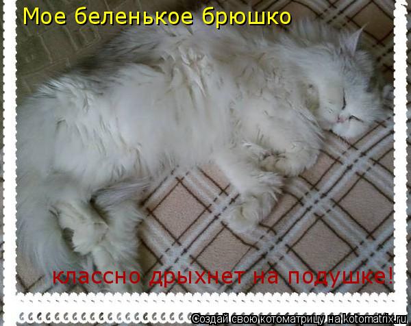 Мое беленькое брюшко классно дрыхнет на подушке!... Котоматрица: Мое беленькое брюшко классно дрыхнет на подушке!