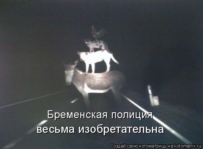 Бременская полиция весьма изобретательна... Котоматрица: Бременская полиция весьма изобретательна