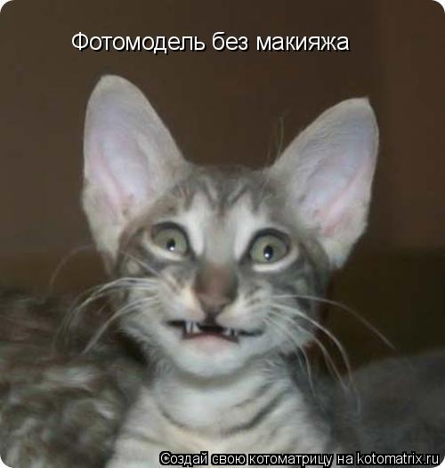 Фотомодель без макияжа... Котоматрица: Фотомодель без макияжа