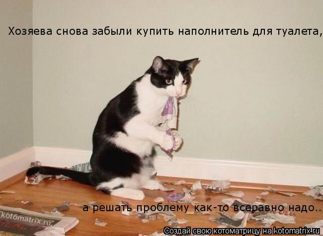 Хозяева снова забыли купить наполнитель для туалета, а решать проблему как-то всеравно надо...... Котоматрица: Хозяева снова забыли купить наполнитель для туалета, а решать проблему как-то всеравно надо...