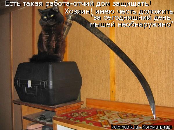 Есть такая работа-отчий дом защищать! хозяин! имею честь доложить"за сегодняшний день мышей необнаруж... Котоматрица: Есть такая работа-отчий дом защищать! хозяин! имею честь доложить"за сегодняшний день мышей необнаружино" Хозяин! имею честь доложить "за се