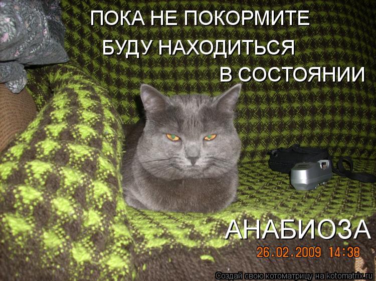 ПОКА НЕ ПОКОРМИТЕ БУДУ НАХОДИТЬСЯ В СОСТОЯНИИ АНАБИОЗА... Котоматрица: ПОКА НЕ ПОКОРМИТЕ БУДУ НАХОДИТЬСЯ В СОСТОЯНИИ АНАБИОЗА