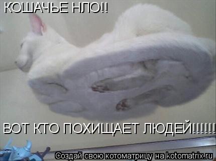 КОШАЧЬЕ НЛО!! ВОТ КТО ПОХИЩАЕТ ЛЮДЕЙ!!!!!!!... Котоматрица: КОШАЧЬЕ НЛО!! ВОТ КТО ПОХИЩАЕТ ЛЮДЕЙ!!!!!!!