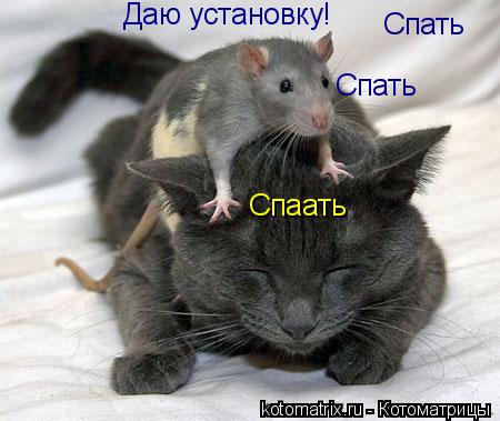 Спать Спать Спаать Даю установку!... Котоматрица: Спать Спать Спаать Даю установку!