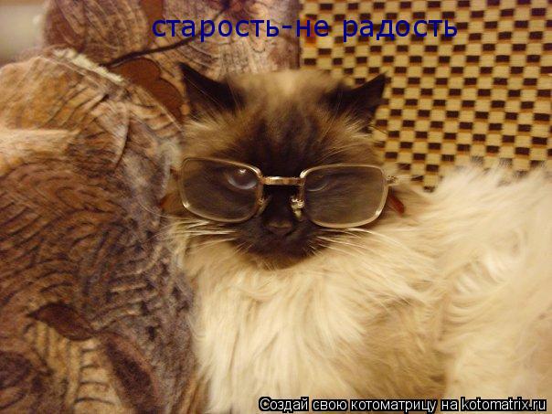 старость-не радость... Котоматрица: старость-не радость