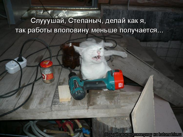 так работы вполовину меньше получается... Слууушай, Степаныч, делай как я,... Котоматрица: так работы вполовину меньше получается... Слууушай, Степаныч, делай как я,