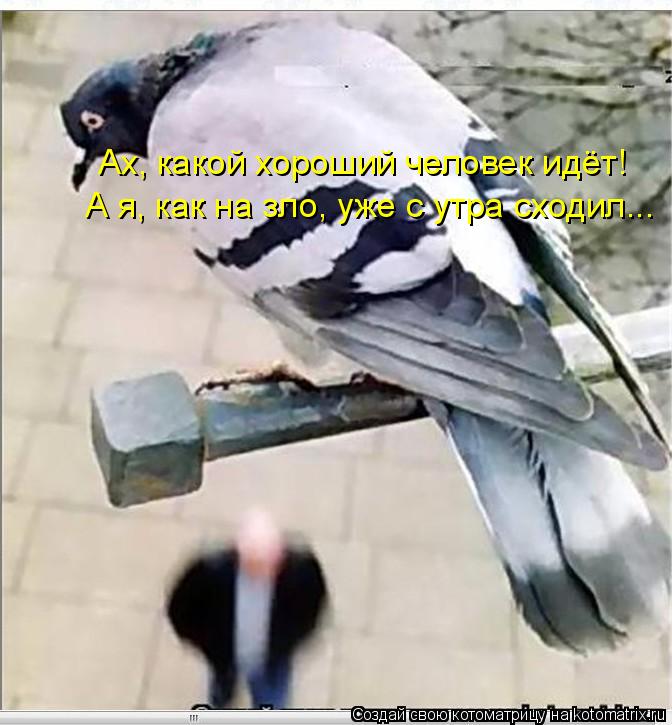 Ах, какой хороший человек идёт! А я, как на зло, уже с утра сходил...... Котоматрица: Ах, какой хороший человек идёт! А я, как на зло, уже с утра сходил...