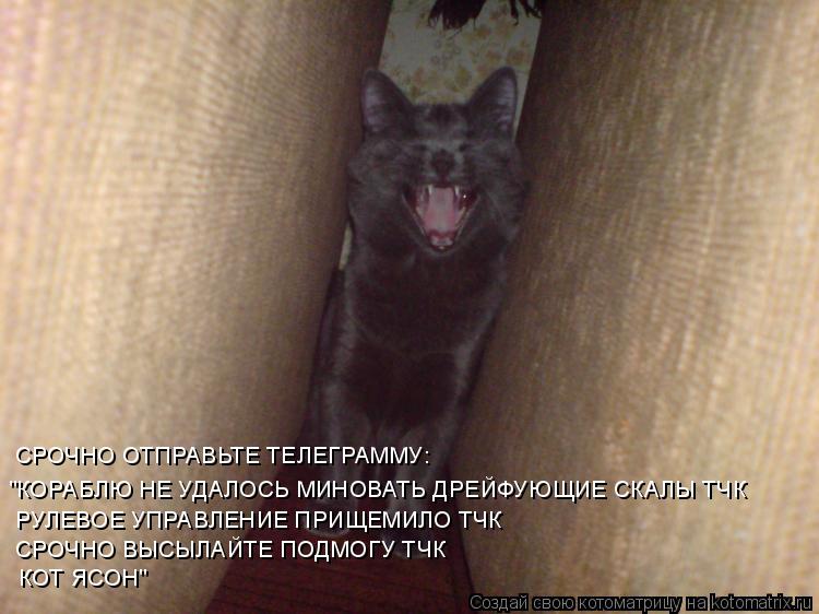СРОЧНО ОТПРАВЬТЕ ТЕЛЕГРАММУ: "КОРАБЛЮ НЕ УДАЛОСЬ МИНОВАТЬ ДРЕЙФУЮЩИЕ СКАЛЫ ТЧК РУЛЕВОЕ УПРАВЛЕНИЕ ПРИ... Котоматрица: СРОЧНО ОТПРАВЬТЕ ТЕЛЕГРАММУ: "КОРАБЛЮ НЕ УДАЛОСЬ МИНОВАТЬ ДРЕЙФУЮЩИЕ СКАЛЫ ТЧК РУЛЕВОЕ УПРАВЛЕНИЕ ПРИЩЕМИЛО ТЧК СРОЧНО ВЫСЫЛАЙТЕ ПОДМОГУ