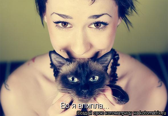 Во я влипла...... Котоматрица: Во я влипла...