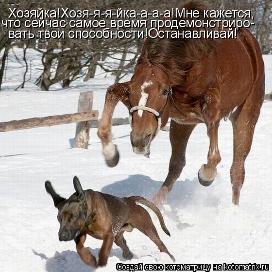 Хозяйка!Хозя-я-я-йка-а-а-а!Мне кажется, что сейчас самое время продемонстриро- вать твои способности!... Котоматрица: Хозяйка!Хозя-я-я-йка-а-а-а!Мне кажется, что сейчас самое время продемонстриро- вать твои способности!Останавливай!