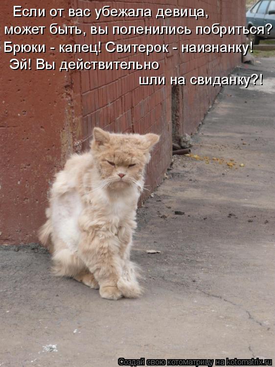 Если от вас убежала девица, может быть, вы поленились побриться? Брюки - капец! Свитерок - наизнанку!... Котоматрица: Если от вас убежала девица, может быть, вы поленились побриться? Брюки - капец! Свитерок - наизнанку! Эй! Вы действительно шли на свиданку?!