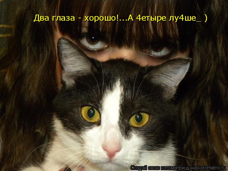 Два глаза - хорошо!...А 4етыре лу4ше_ )... Котоматрица: Два глаза - хорошо!...А 4етыре лу4ше_ )