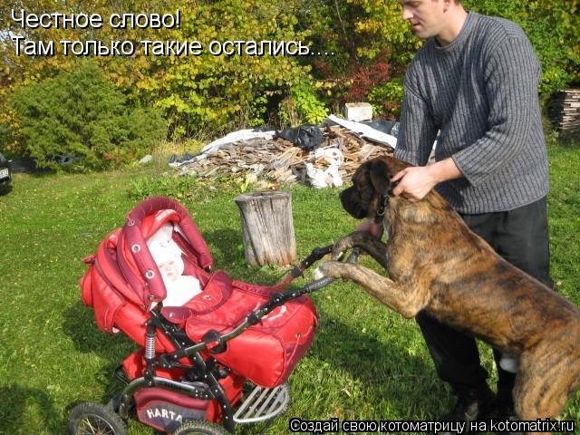 Честное слово! Там только такие остались....... Котоматрица: Честное слово! Там только такие остались....