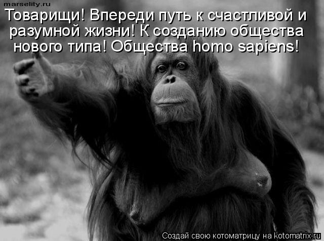 Товарищи! Впереди путь к счастливой и разумной жизни! К созданию общества нового типа! Общества hom... Котоматрица: Товарищи! Впереди путь к счастливой и разумной жизни! К созданию общества нового типа! Общества homo sapiens!