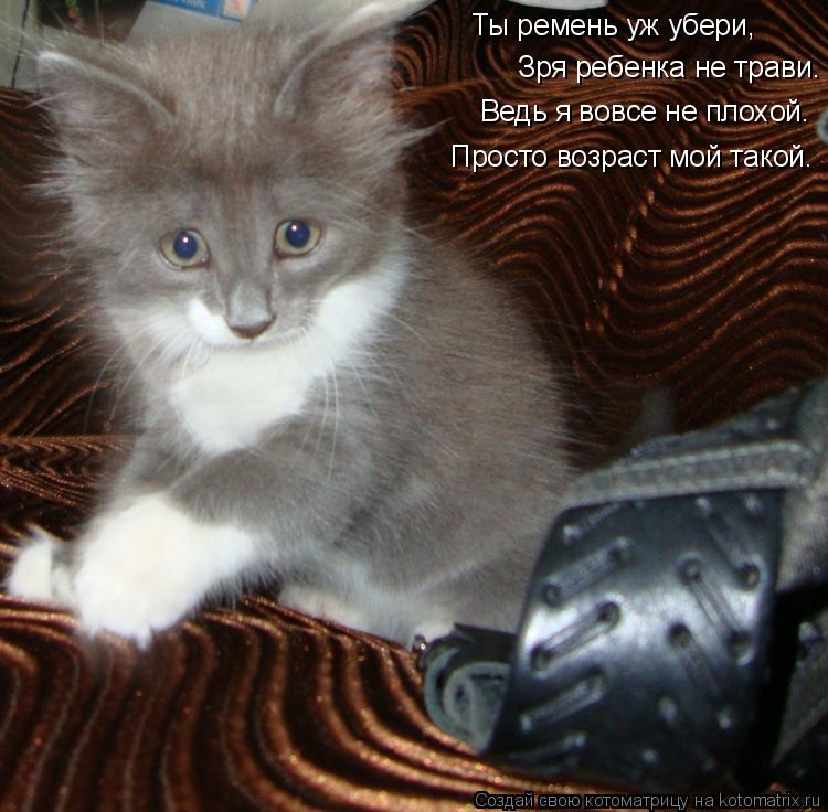 Ты ремень уж убери, Зря ребенка не трави. Ведь я вовсе не плохой. Просто возраст мой такой.... Котоматрица: Ты ремень уж убери, Зря ребенка не трави. Ведь я вовсе не плохой. Просто возраст мой такой.