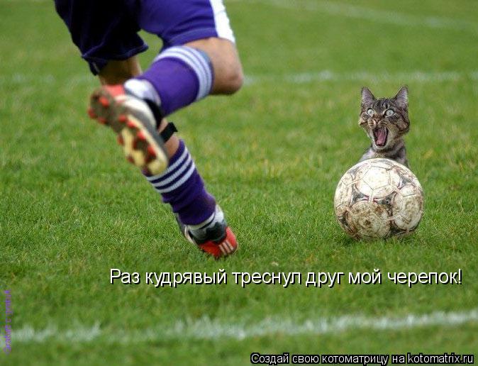 Раз кудрявый треснул друг мой черепок!... Котоматрица: Раз кудрявый треснул друг мой черепок!