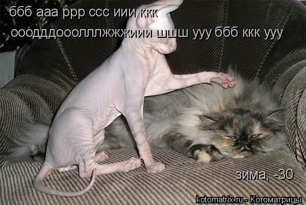 ббб ааа ррр ссс иии ккк ооодддооолллжжжиии шшш ууу ббб ккк ууу зима, -30... Котоматрица: ббб ааа ррр ссс иии ккк ооодддооолллжжжиии шшш ууу ббб ккк ууу зима, -30