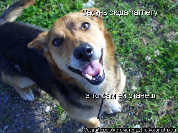 Засунь с юда катлету а то сам ей станеш -... Котоматрица: Засунь с юда катлету а то сам ей станеш -
