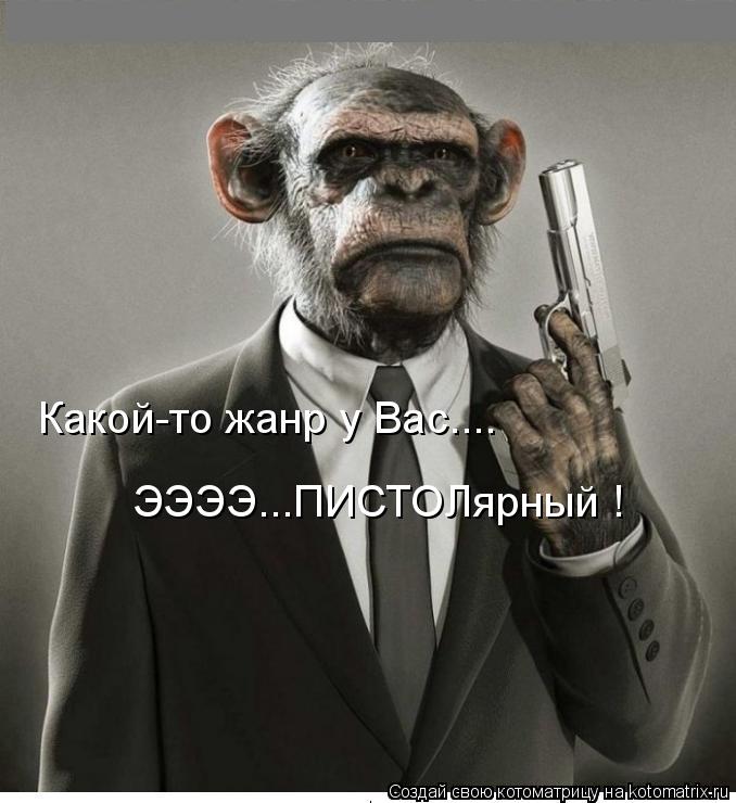 Какой-то жанр у Вас.... ЭЭЭЭ...ПИСТОЛярный !... Котоматрица: Какой-то жанр у Вас.... ЭЭЭЭ...ПИСТОЛярный !