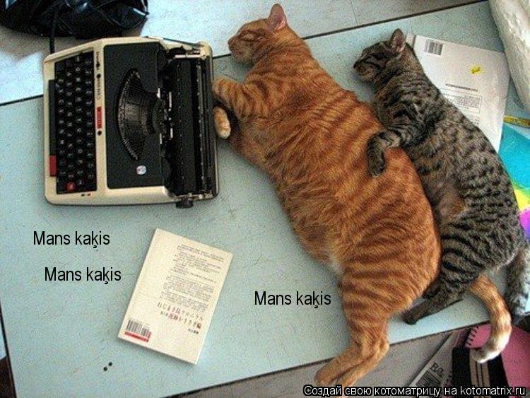 Mans kaķis Mans kaķis Mans kaķis... Котоматрица: Mans kaķis Mans kaķis Mans kaķis