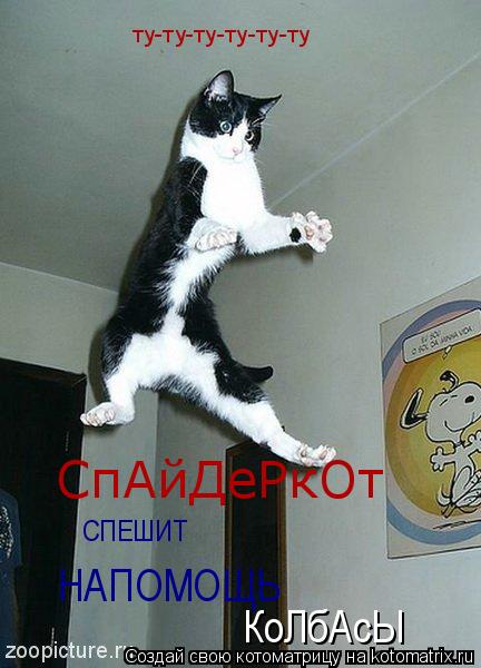 ту-ту-ту-ту-ту-ту СпАйДеРкОт СПЕШИТ НАПОМОЩЬ КоЛбАсЫ... Котоматрица: ту-ту-ту-ту-ту-ту СпАйДеРкОт СПЕШИТ НАПОМОЩЬ КоЛбАсЫ